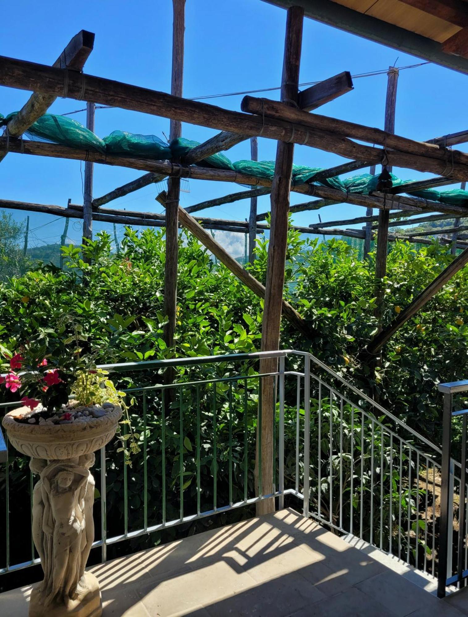 הוילה מסה לוברנסה Sun & Relax, Relaxing Location With Seaview מראה חיצוני תמונה